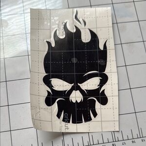 Cricut Black Flame Skull Decal